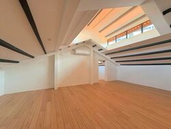 Keong Saik Road (D2), Shop House #540267121